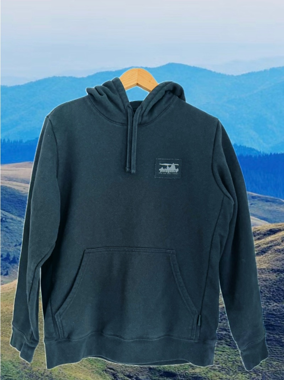 Patagonia Dark Green Pullover Hoodie
